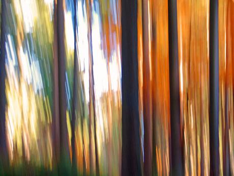 Farbenrausch - Walter J. Pilsak - auf - Array - Farbenrausch - Walter J. Pilsak - auf - Array -