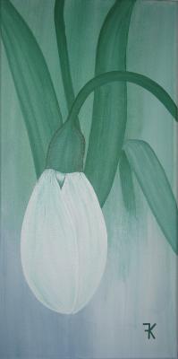 Schneeglöckchen - Karin Fricke - Array auf Array - Array - Schneeglöckchen - Karin Fricke - Array auf Array - Array -