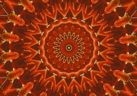 --Korbblüte- - Karlheinz Milde - Array auf  - Array - 