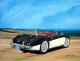 Austin Healey Austin Healey