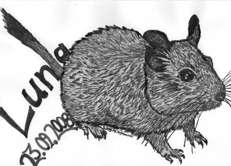 Auftragsarbeit - Marcel Hofmann - auf - Array - Auftragsarbeit - Marcel Hofmann - auf - Array -