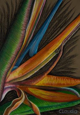 Paradiesblume - Claudia Diaz - Array auf Array - Array - Paradiesblume - Claudia Diaz - Array auf Array - Array -