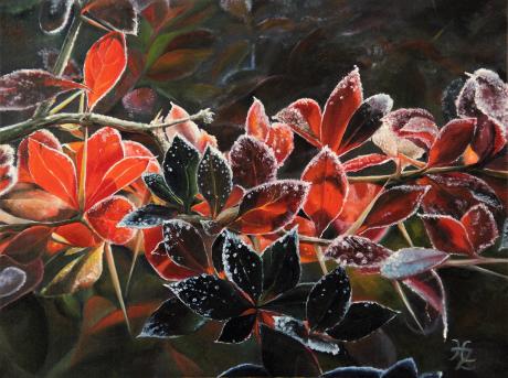 Frost - Heike Ziethen - Array auf Array - Array - Array Frost - Heike Ziethen - Array auf Array - Array - Array