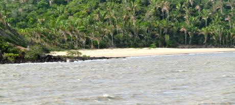 --- - Flávio do Nascimento - auf - Array - --- - Flávio do Nascimento - auf - Array -