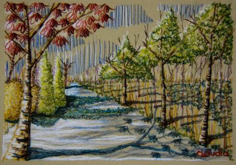 Im Wald - Claudia Diaz - Array auf Array - Array - Im Wald - Claudia Diaz - Array auf Array - Array -