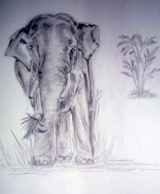 Elefant in der Steppe - Meike Linda Bücher - Array auf Array - - Elefant in der Steppe - Meike Linda Bücher - Array auf Array - -