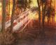 Licht im Wald - Andreas Merk - Acryl auf Leinwand - Wald - Licht im Wald - Andreas Merk - Acryl auf Leinwand - Wald -