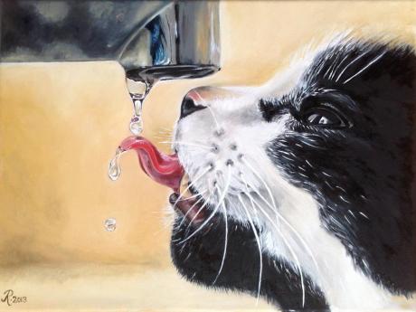 Thirsty cat - Rebecca Tecla - Array auf - Array - Thirsty cat - Rebecca Tecla - Array auf - Array -