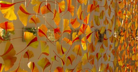 NaturKunstRaum VI - Arthur Wyss - auf - Array - NaturKunstRaum VI - Arthur Wyss - auf - Array -