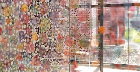 NaturKunstRaum XI - Arthur Wyss - auf - Array - NaturKunstRaum XI - Arthur Wyss - auf - Array -