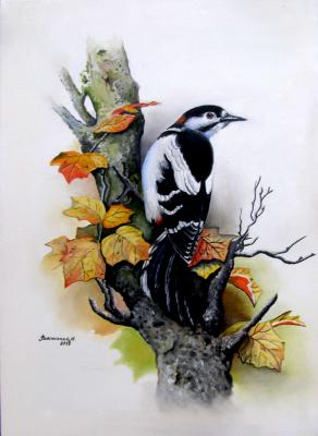 Der Specht - Vilinskiy Nic - Array auf Array - Array - Der Specht - Vilinskiy Nic - Array auf Array - Array -