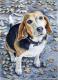 Beagle im Herbst - Nicole Zeug - Aquarell auf - Hunde - Beagle im Herbst - Nicole Zeug - Aquarell auf - Hunde -
