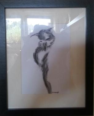 Die Eule - Dirk Macess - Array auf - Array - Die Eule - Dirk Macess - Array auf - Array -