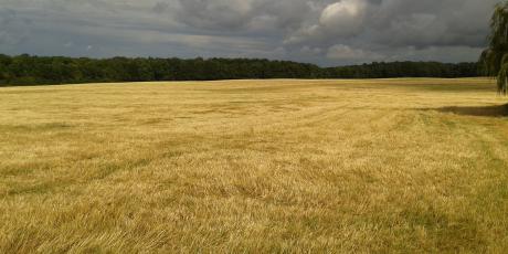 Serie Fotografie - Flávio do Nascimento - auf - Array - Serie Fotografie - Flávio do Nascimento - auf - Array -