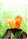 Eichhörnchen - Anne Aretz - Farbstift auf - Wildtiere - Eichhörnchen - Anne Aretz - Farbstift auf - Wildtiere -