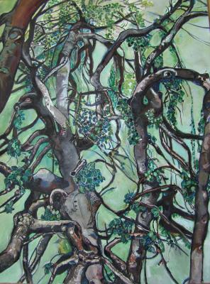 Hängebuchen weitverzweigt - Sylvia Rudolph - Array auf Array - Array - Hängebuchen weitverzweigt - Sylvia Rudolph - Array auf Array - Array -