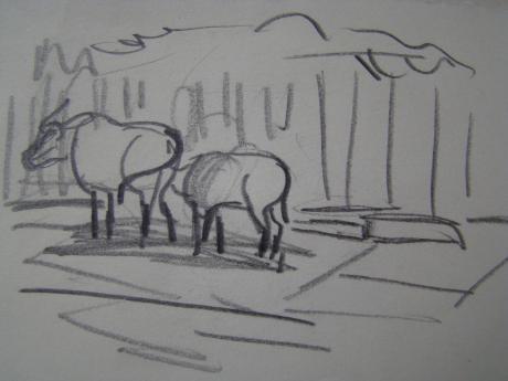 2 Tiere - Sylvia Rudolph - Array auf - Array - 2 Tiere - Sylvia Rudolph - Array auf - Array -