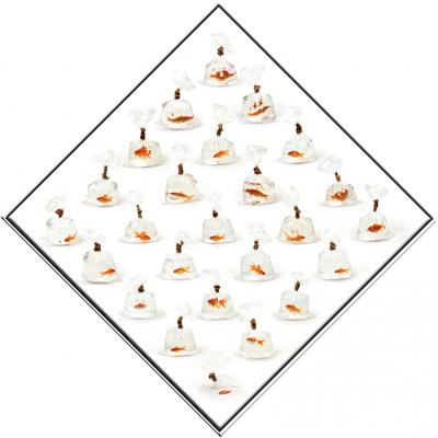 portraits of goldfishbags 44001r - peter janssen - auf - Array - portraits of goldfishbags 44001r - peter janssen - auf - Array -