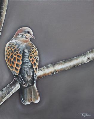 Bird n.6 - Rebecca Tecla - Array auf - Array - Array Bird n.6 - Rebecca Tecla - Array auf - Array - Array