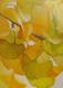 Ginkgo-Blätter im Herbst - ingrid wenz-gahler - Acryl auf - Botanik - Ginkgo-Blätter im Herbst - ingrid wenz-gahler - Acryl auf - Botanik -