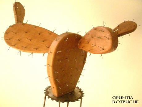 Opuntia - KK Kemter - auf - Array - Opuntia - KK Kemter - auf - Array -