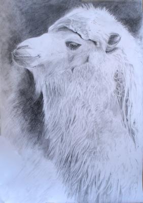 haarige Schöhnheit - ingrid wenz-gahler - auf - Array - haarige Schöhnheit - ingrid wenz-gahler - auf - Array -