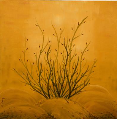 evolution1 - Rudolf Reitz - Array auf Array - Array - Array evolution1 - Rudolf Reitz - Array auf Array - Array - Array