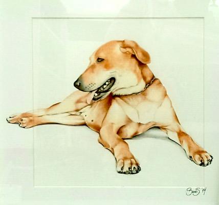 Hund - Sanni Schmiedefeld - Array auf - Array - Hund - Sanni Schmiedefeld - Array auf - Array -