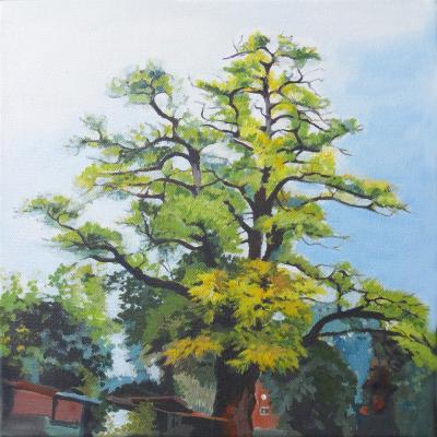 Robinie - ingrid wenz-gahler - Array auf Array - Array - Array Robinie - ingrid wenz-gahler - Array auf Array - Array - Array