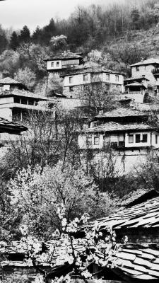 Kovatchevitsa 3 - Stephan Trauner - Array auf - Array - Kovatchevitsa 3 - Stephan Trauner - Array auf - Array -