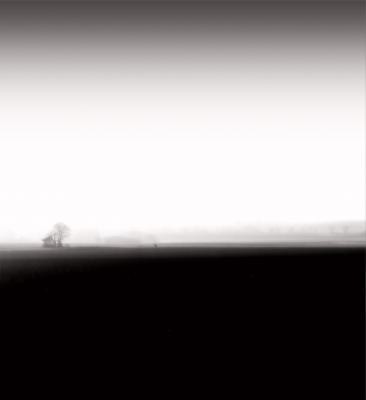 Der vergessene Baum - Bastian Kienitz - Array auf - Array - Der vergessene Baum - Bastian Kienitz - Array auf - Array -