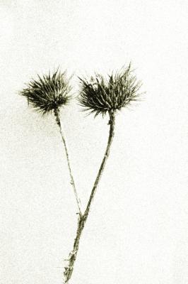 Verborgene Schönheit - Bastian Kienitz - Array auf - Array - Verborgene Schönheit - Bastian Kienitz - Array auf - Array -