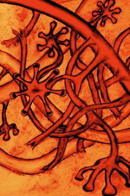 Neurokinetiks - Olek Anantonov - Array auf - Array - Neurokinetiks - Olek Anantonov - Array auf - Array -