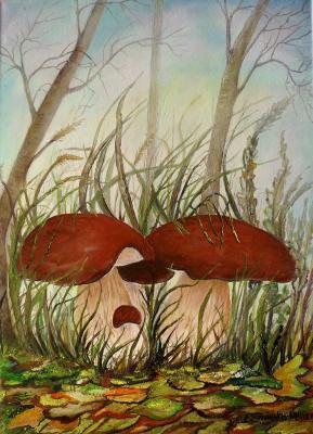 ---Steinpilze - Elisabeth Willner - Array auf Array - Array - Array ---Steinpilze - Elisabeth Willner - Array auf Array - Array - Array