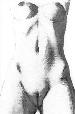 FRAUENAKT_F-005 - NN WELT - Array auf - Array - FRAUENAKT_F-005 - NN WELT - Array auf - Array -