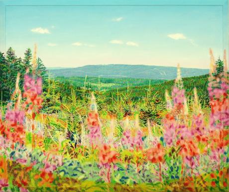 Schalkebergblumen - Fred Hahn - Array auf Array - Array - Array Schalkebergblumen - Fred Hahn - Array auf Array - Array - Array