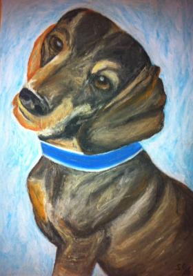 Der Dackelblick - Susanne Oster - Array auf Array - Array - Array Der Dackelblick - Susanne Oster - Array auf Array - Array - Array