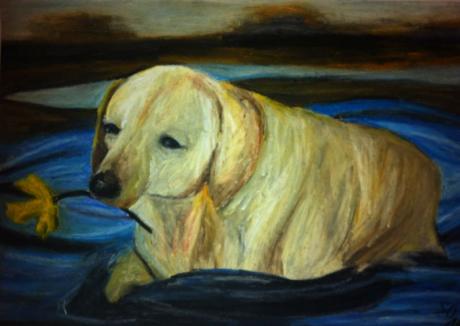 Badender Hund - Susanne Oster - Array auf Array - Array - Array Badender Hund - Susanne Oster - Array auf Array - Array - Array