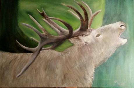 röhrender Hirsch - Anke Knoth - Array auf Array - Array - Array röhrender Hirsch - Anke Knoth - Array auf Array - Array - Array