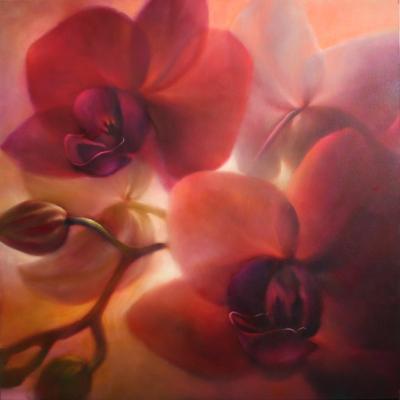Orchideen, rotviolett - Annette Schmucker - Array auf Array - Array - Array Orchideen, rotviolett - Annette Schmucker - Array auf Array - Array - Array