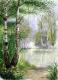 Birken am Waldsee - Karin Liste - Aquarell auf - Landschaft - Birken am Waldsee - Karin Liste - Aquarell auf - Landschaft -
