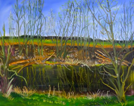 Nidda-Auen 8,Frühling - wolfgang mayer - Array auf - Array - Array Nidda-Auen 8,Frühling - wolfgang mayer - Array auf - Array - Array