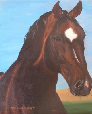 Hannoveranerhengst - Claudia Lüthi - Array auf Array - - Array Hannoveranerhengst - Claudia Lüthi - Array auf Array - - Array