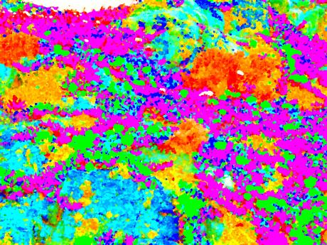 Bunte Kleckse - Kunstdruck - Kristin Gräfin von Montfort - Array auf - Array - Array Bunte Kleckse - Kunstdruck - Kristin Gräfin von Montfort - Array auf - Array - Array