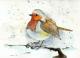 Rotkehlchen 01 - Karin Liste - Aquarell auf - Tiere - Naturalismus Rotkehlchen 01 - Karin Liste - Aquarell auf - Tiere - Naturalismus