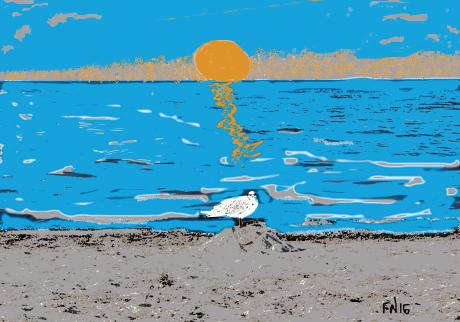 sommer in September - Flávio do Nascimento - Array auf - Array - Array sommer in September - Flávio do Nascimento - Array auf - Array - Array