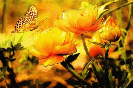 Sommertraum - Gabriele Nedilka - Array auf - Array - Sommertraum - Gabriele Nedilka - Array auf - Array -