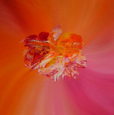 Explpsion der Farben VI - Wolfram Hermann - Array auf Array - - Array Explpsion der Farben VI - Wolfram Hermann - Array auf Array - - Array