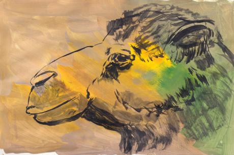 Kamelportrait - Karin Liste - Array auf - Array - Kamelportrait - Karin Liste - Array auf - Array -