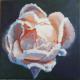 Eisrose - ingrid wenz-gahler - Acryl auf Leinwand - Rosen - Realismus Eisrose - ingrid wenz-gahler - Acryl auf Leinwand - Rosen - Realismus